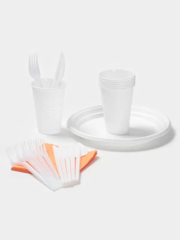 Набор одноразовой посуды Мистерия &laquo;Пикничок&raquo;, на 6 персон, пластик, МИКС