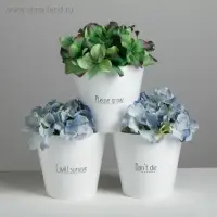 Набор кашпо 3 в 1 Please grow, 0,8 л, 11 х 12 см Набор кашпо 3 в 1 Please grow, 0,8 л, 11 х 12 см