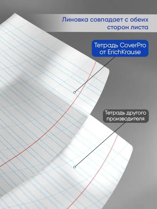 Тетрадь 12 листов в косую линейку, ErichKrause CoverPro, пластиковая обложка, МИКС