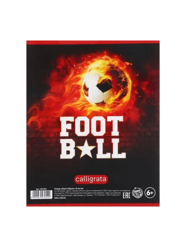 Тетрадь предметная 48 листов в клетку Calligrata, «Футбол. Английский язык», обложка мелованный картон Тетрадь предметная 48 листов в клетку Calligrata, «Футбол. Английский язык», обложка мелованный картон