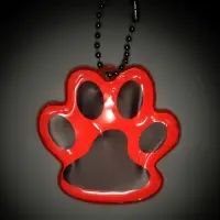 Светоотражающий элемент &laquo;Лапка&raquo;, 5.5&times;4.8 см, цвет оранжевый