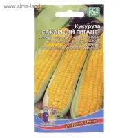 Семена Кукуруза "Сахарный Гигант", 5 г