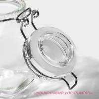 Банка стеклянная для хранения сыпучих продуктов Доляна &laquo;Овал&raquo;, 100 мл, 5,5&times;9 см, с бугельным замком