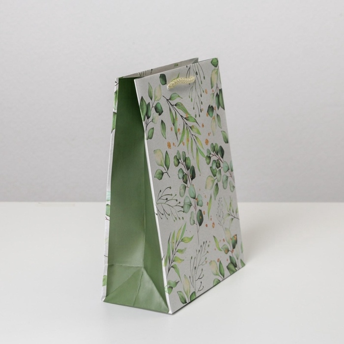 Пакет подарочный ламинированный, упаковка, Present for you, MS 18 х 23 х 8 см Пакет подарочный ламинированный, упаковка, Present for you, MS 18 х 23 х 8 см