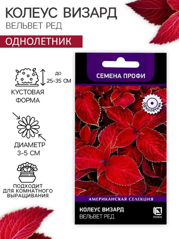 Семена цветов Колеус Визард Вельвет ред, 10шт Семена цветов Колеус Визард Вельвет ред, 10шт