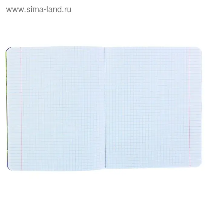 Тетрадь 48 листов в клетку Тетрадь 48 листов в клетку "Кедомания", обложка мелованный картон, гибридный лак, МИКС
