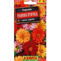 Набор Семена цветов Георгины махровая низкорослая (238760048) ВБ