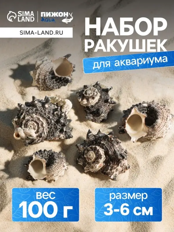 Набор ракушек с перламутром, 3 - 6 см, 100 г