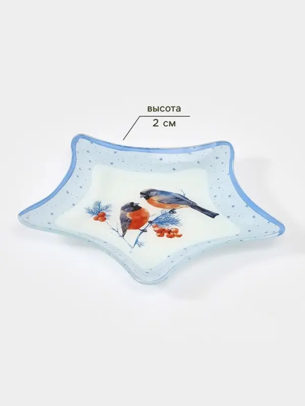 Блюдо новогоднее сервировочное Доляна &laquo;Снегири на ветке&raquo;, d=19 см, стекло, голубое