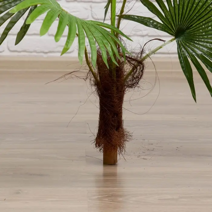 Дерево искусственное &laquo;Пальма&raquo;, h=70 см