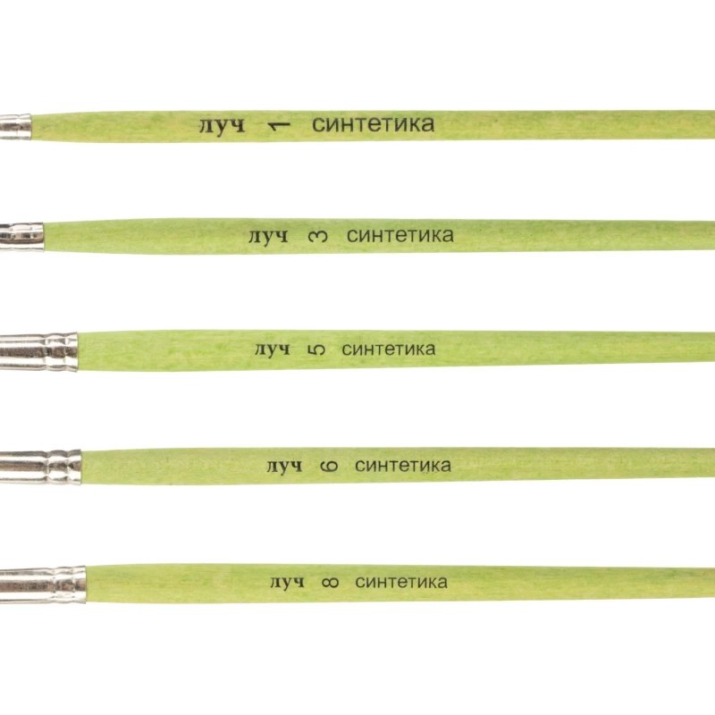 Набор кистей ZOO,5шт.СИНТЕТИКА(круглые№1,3,5;плоские№6,8)33С 2187-08