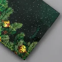 Пакет подарочный новогодний ламинированный, «Ветки елки» , 11.5×6.5×14.5 см Пакет подарочный новогодний ламинированный, «Ветки елки» , 11.5×6.5×14.5 см