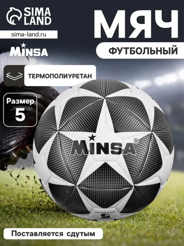 Мяч футбольный MINSA, TPE, машинная сшивка, 12 панелей, р.5