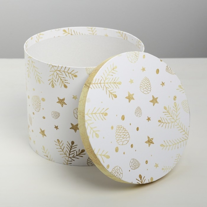 Набор подарочных коробок 5 в 1 «Изморозь», 13 х 14‒19.5 х 22 см 3580137, Новый год