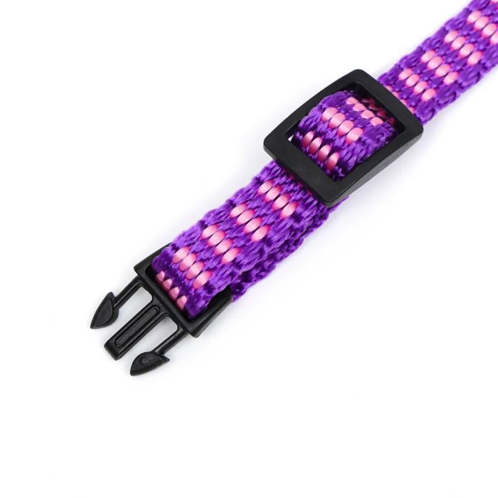 Ошейник Ошейник "Клубника", 30 х 1 см, капрон, розовый
