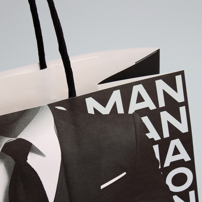 Пакет подарочный, упаковка, «Стиль», 22 х 22 х 11 см Пакет подарочный, упаковка, «Стиль», 22 х 22 х 11 см