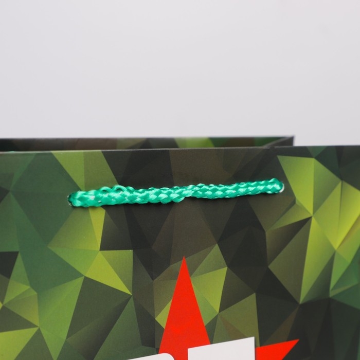 Пакет подарочный ламинированный вертикальный, упаковка, «Защитник», ML 23 х 27 х 11.5 см Пакет подарочный ламинированный вертикальный, упаковка, «Защитник», ML 23 х 27 х 11.5 см