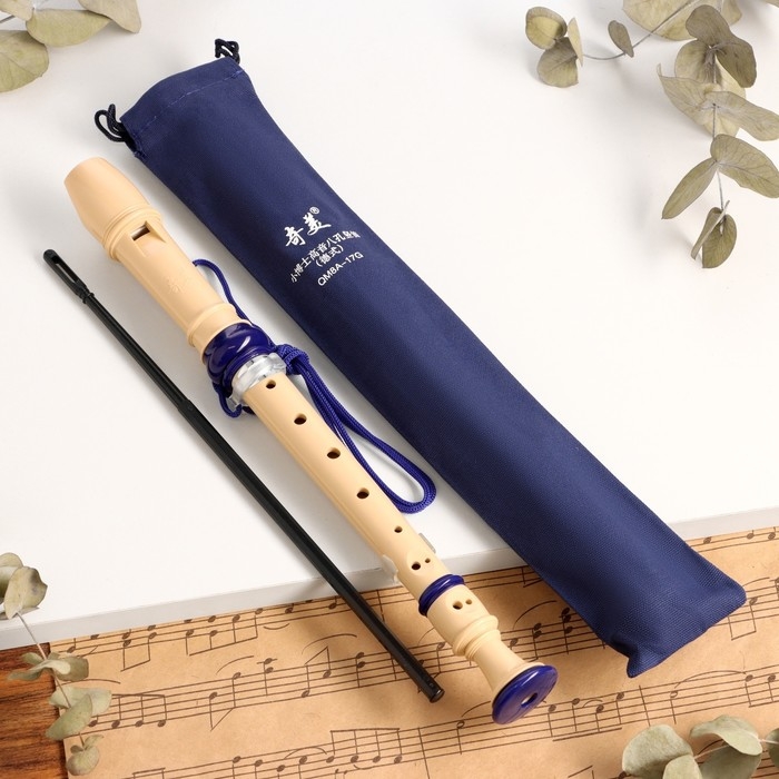 Блокфлейта Music Life, 8 отверстий, синий чехол, шомпол, 30 см Блокфлейта Music Life, 8 отверстий, синий чехол, шомпол, 30 см