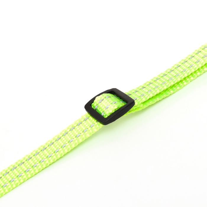 Ошейник кошачий светоотражающий, с серебряным бубенчиком, 19-32 х 1 см, зелёный Ошейник кошачий светоотражающий, с серебряным бубенчиком, 19-32 х 1 см, зелёный