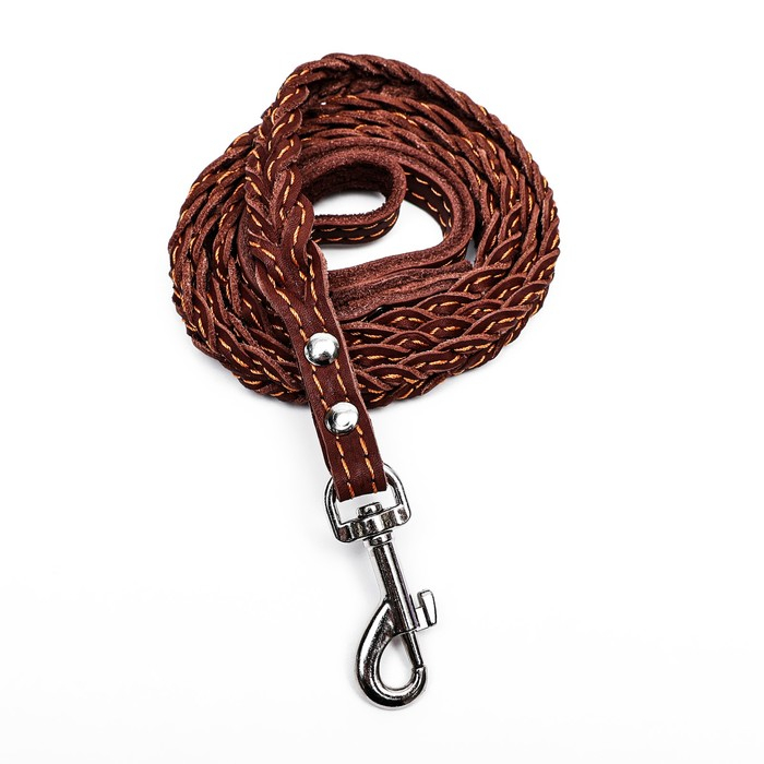 Поводок кожаный плетеный  Поводок кожаный плетеный "Коса", 1.25 м х 1.1 см, коричневый