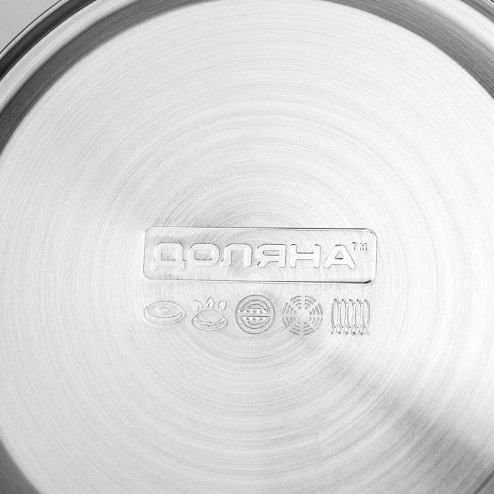 Чайник со свистком из нержавеющей стали Доляна «Горошек», 2,8 л, цвет хромированный