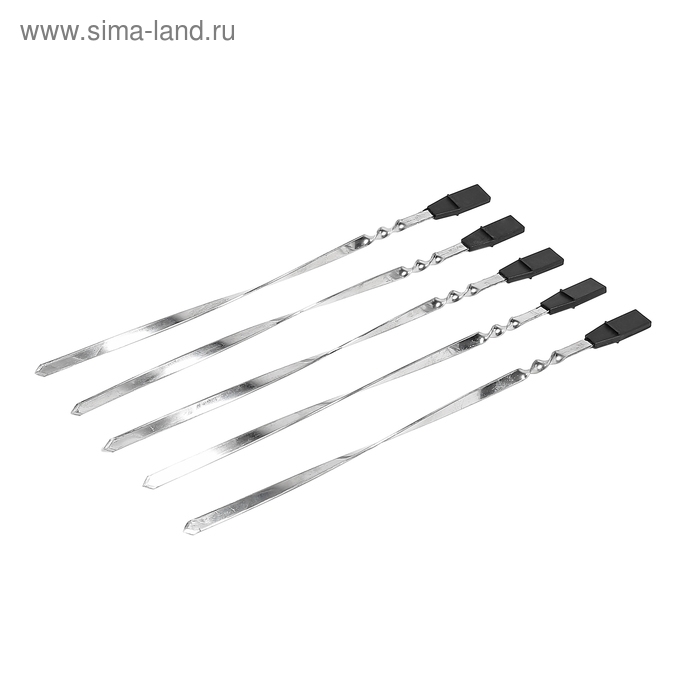 Электрошашлычница ENERGY НЕВА-1, 1000 Вт, 5 шампуров, серебристая