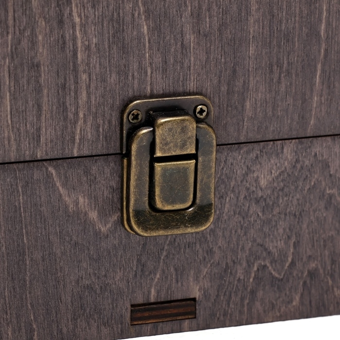 Набор с шампурами подарочный  Набор с шампурами подарочный "Орел" в кейсе