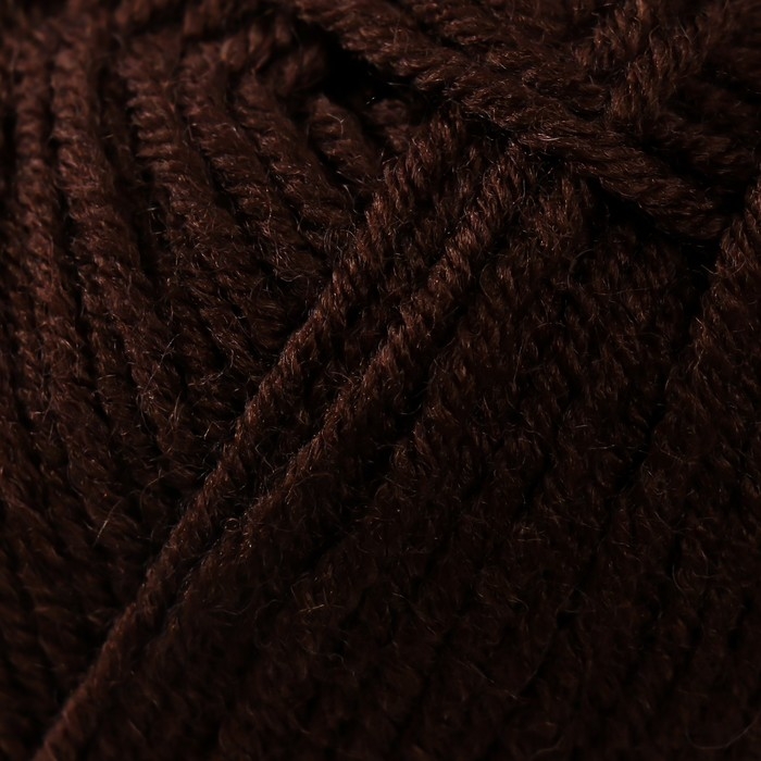 Пряжа Пряжа "Lanagold" 51% акрил, 49% шерсть 240м/100гр (26 коричневый)