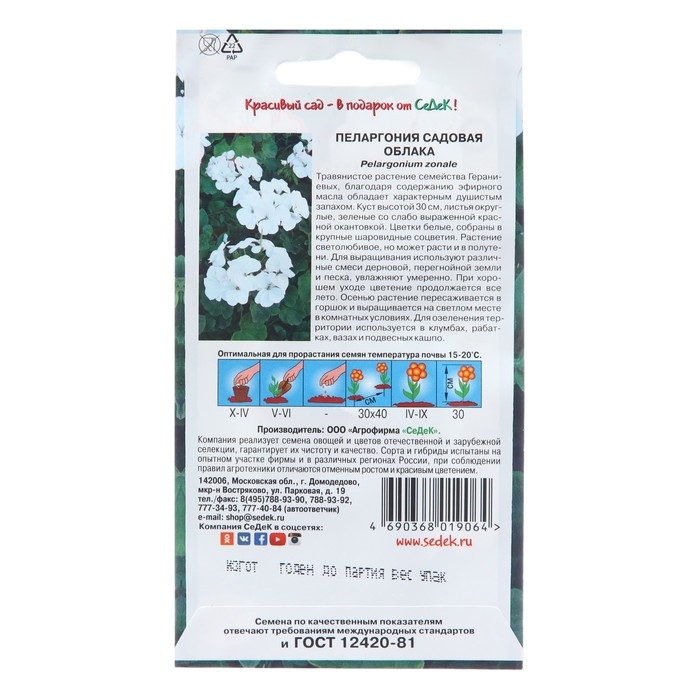 Семена цветов Пеларгония Семена цветов Пеларгония "Облака", Евро, 5 шт
