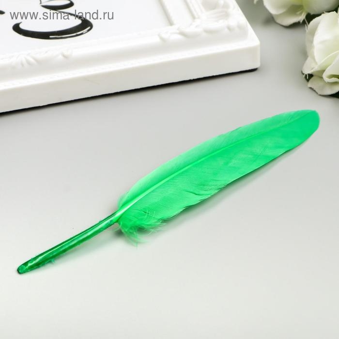 Перья декоративные прямые, 10-15 см (набор 24 шт) 6 цветов, яркие, ассорти Перья декоративные прямые, 10-15 см (набор 24 шт) 6 цветов, яркие, ассорти