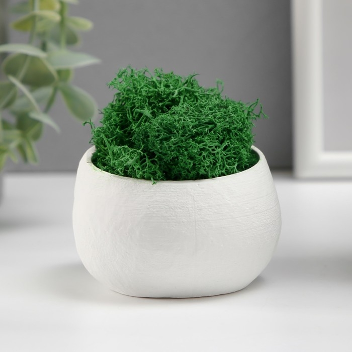 Кашпо бетонное  Кашпо бетонное "Пришелец" высота 5 см, диаметр 6 см белый со мхом (мох зелен. стабилизир)