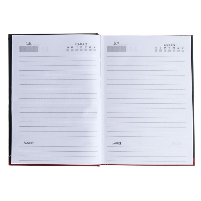 Ежедневник недатированный на сшивке А5 128 листов, картон 7БЦ, матовая ламинация, выборочный лак Ежедневник недатированный на сшивке А5 128 листов, картон 7БЦ, матовая ламинация, выборочный лак "Следуй за мечтой"