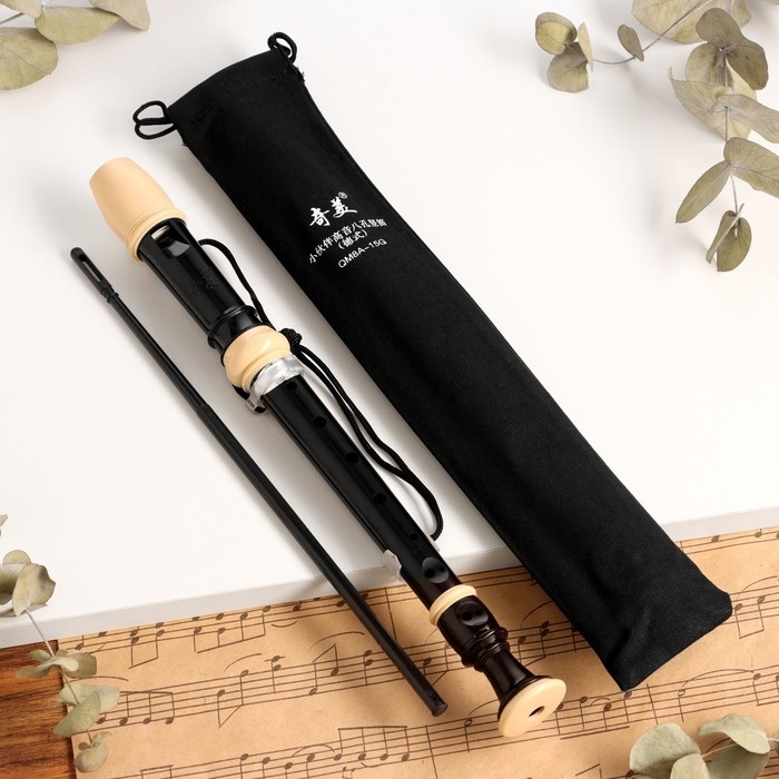 Блокфлейта Music Life, 8 отверстий, черный чехол, шомпол, 30 см Блокфлейта Music Life, 8 отверстий, черный чехол, шомпол, 30 см