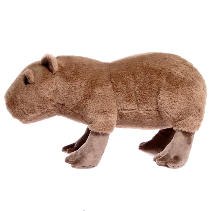 Мягкая игрушка «Капибара», 35 см Мягкая игрушка «Капибара», 35 см