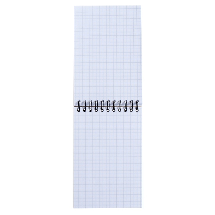 Блокнот на спирали А6, 80 листов, клетка, ErichKruase Блокнот на спирали А6, 80 листов, клетка, ErichKruase "Котики", картонная обложка, блок офсет, белизна 100%, МИКС