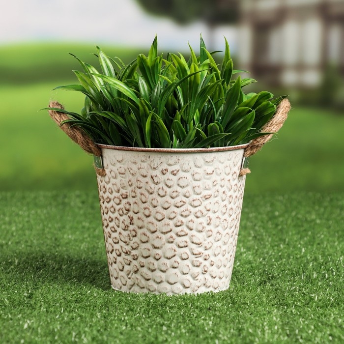 Кашпо  Кашпо "Ведерко чешуя" МИКС, 13х13х12см