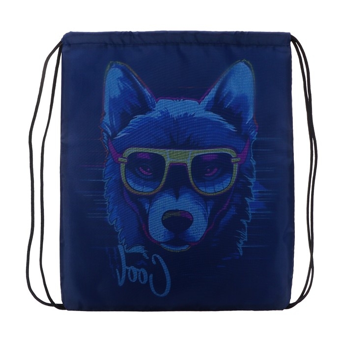 Мешок для обуви 420 х 340 мм, Calligrata МСО-5С, (мягкий полиэстер, плотность 210D),  Мешок для обуви 420 х 340 мм, Calligrata МСО-5С, (мягкий полиэстер, плотность 210D), "Собака в очках"