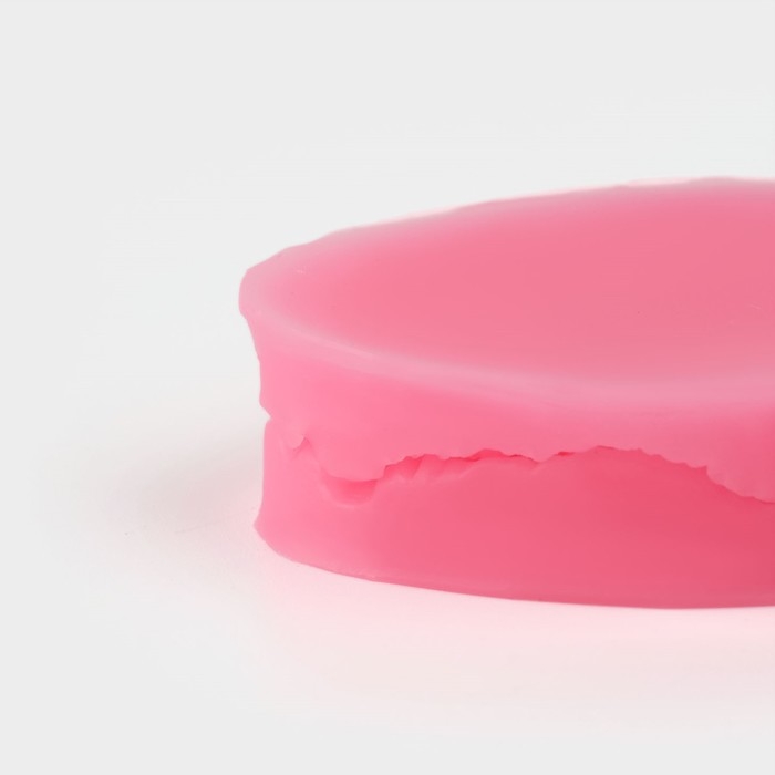 Молд «Лист тропических растений», силикон, 2 шт, 6,5×4×2,3 см, цвет МИКС Молд «Лист тропических растений», силикон, 2 шт, 6,5×4×2,3 см, цвет МИКС