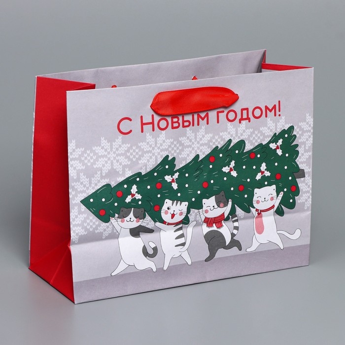 Пакет подарочный новогодний крафтовый горизонтальный «Спешу к тебе», MS 23 х 18 х 10 см, Новый год Пакет подарочный новогодний крафтовый горизонтальный «Спешу к тебе», MS 23 х 18 х 10 см, Новый год