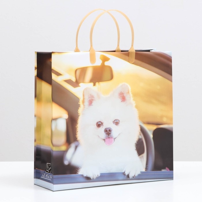 Пакет Пакет "Белый шпиц", мягкий пластик, 30 x 30 см, 100 мкм