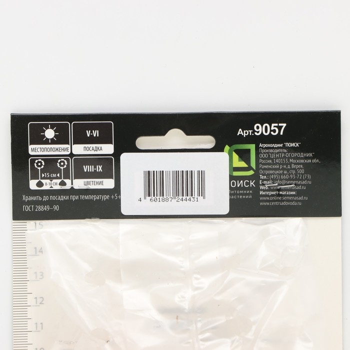 Гладиолус крупноцветковой «Российская селекция Малика», луковица цветов в пакете с перфорацией, р-р 10/12, 5 шт.