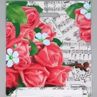 Пакет "Гармония, полиэтиленовый с вырубной ручкой 38х45 см, 60 мкм