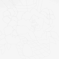 Набор для рисования Скетчинг акварелью Цветочные нежности, Рн-045