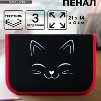 Пенал школьный, 3 секции, 14&times;21&times;4 см &laquo;Котик&raquo;