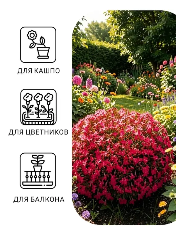 Семена цветов Лобелия &laquo;Розамунда&raquo;, 0.01 г, &laquo;Гавриш&raquo;
