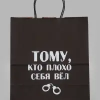 Пакет подарочный &laquo;Тому, кто плохо себя вёл&raquo;, 24&times;14&times;28 см, крафт