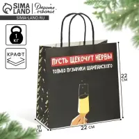 Пакет подарочный новогодний &laquo;Только пузырики&raquo;, 22&times;22&times;11 см