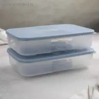 Набор контейнеров для яиц, 2 шт, 22,5×15×7,5 см, цвет МИКС Набор контейнеров для яиц, 2 шт, 22,5×15×7,5 см, цвет МИКС