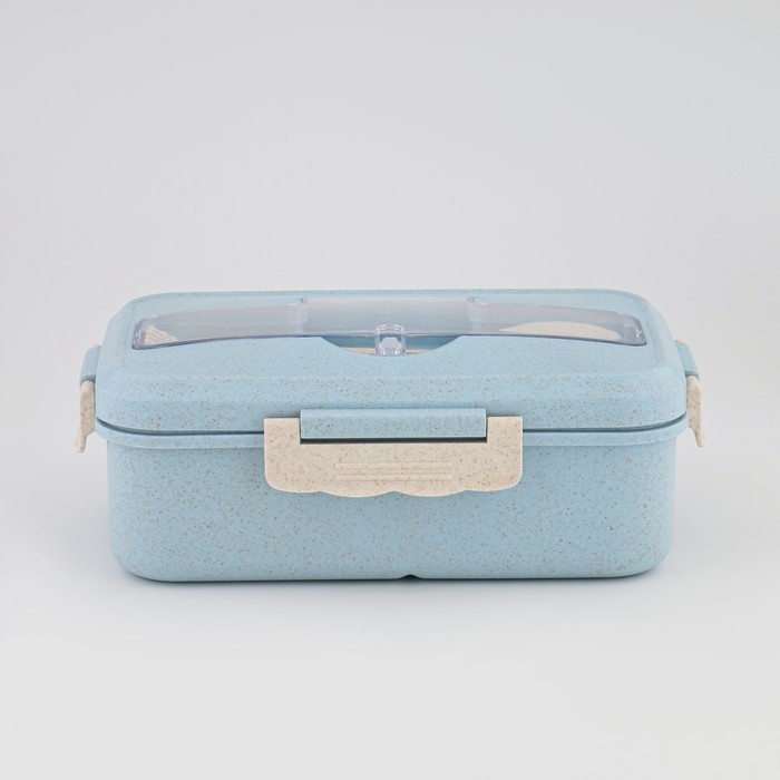 Ланч бокс, в школу, контейнер для еды, 800 мл, с приборами, 12 х 7.6 х 20 см, голубой Ланч бокс, в школу, контейнер для еды, 800 мл, с приборами, 12 х 7.6 х 20 см, голубой