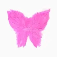Крылья бабочки из пера, цвет розовый 45*45